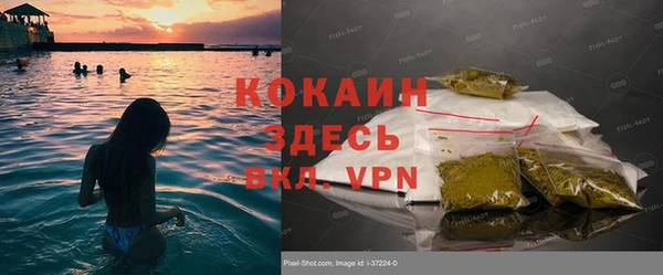 гидра Костерёво