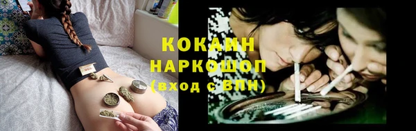 гидра Костерёво