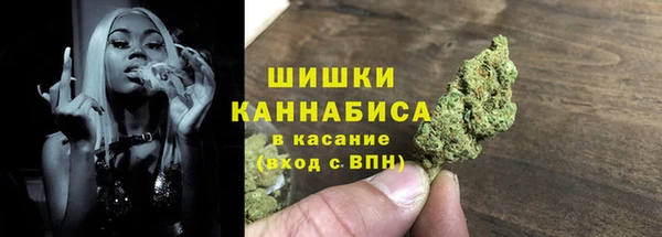 гидра Костерёво