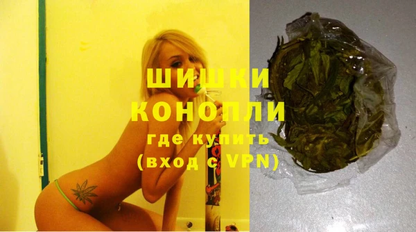 гидра Костерёво
